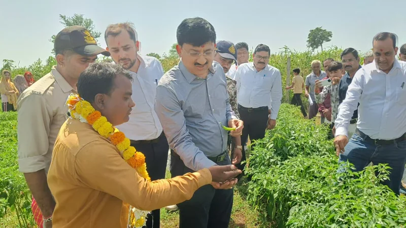 कलेक्टर श्री कन्याल ने देखा ड्रिप-मल्चिंग से मिर्च की खेती का मॉडल, एक एकड़ में 4 लाख रुपए शुद्ध लाभ की उम्मीद